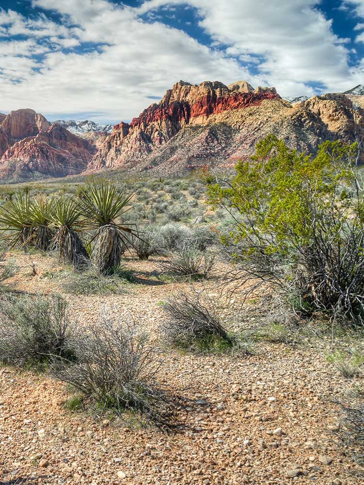 Red Rock Hiking | Las Vegas | Nevada