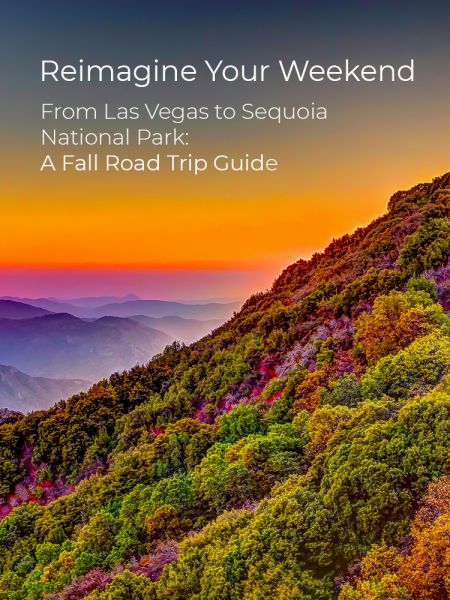 Reimagine Your Weekend Guide