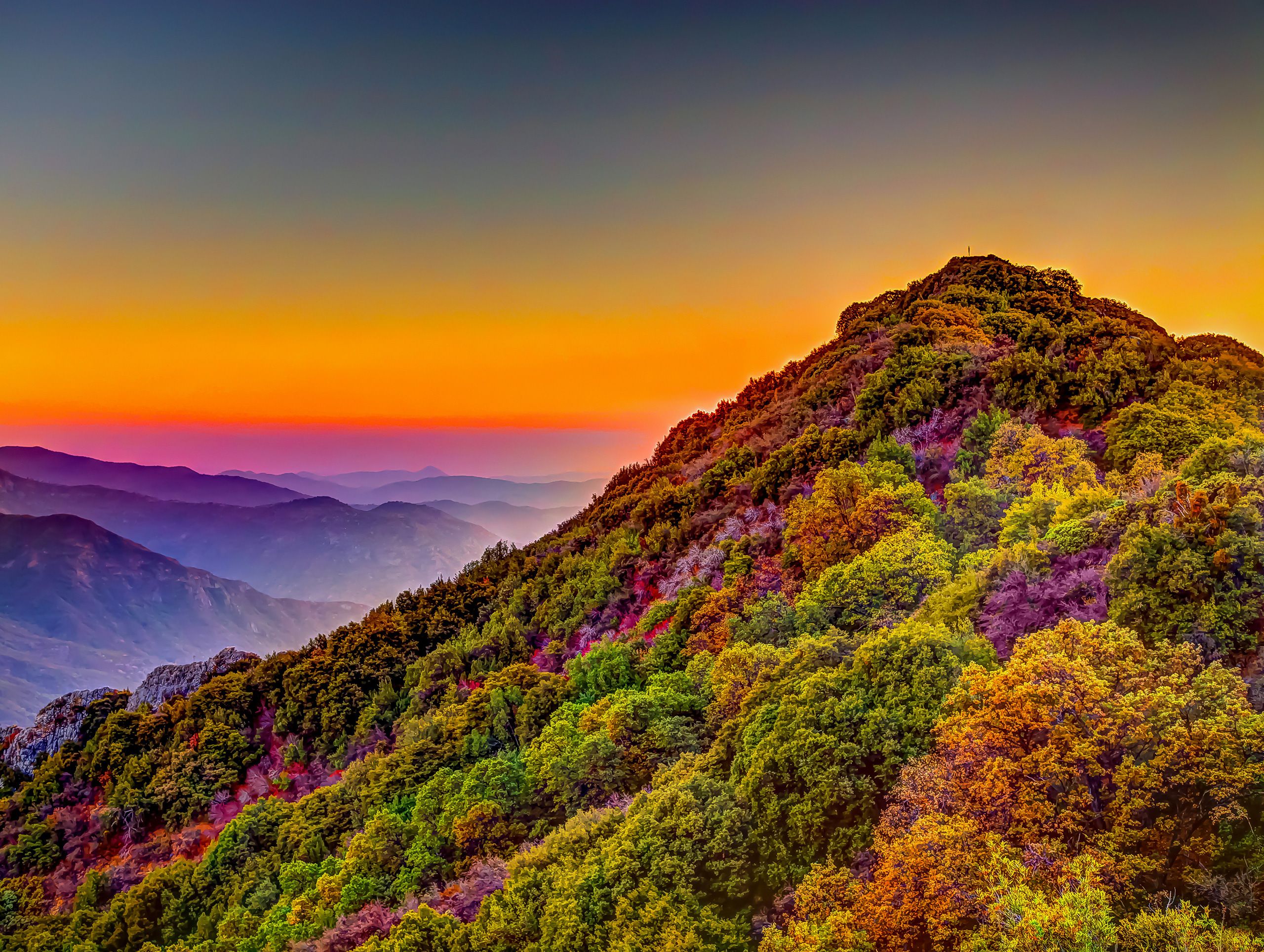 Sequoia National Park | California
