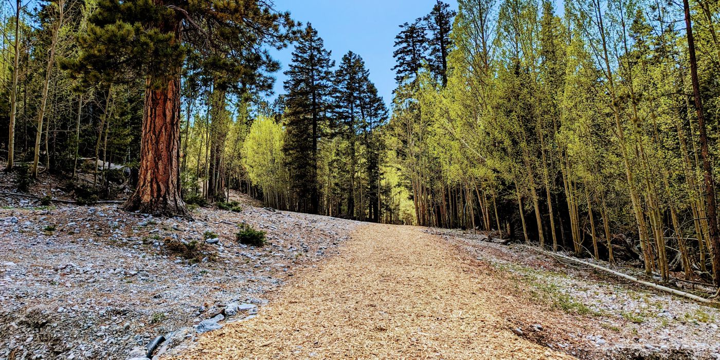 Mount Charleston | Las Vegas | Nevada