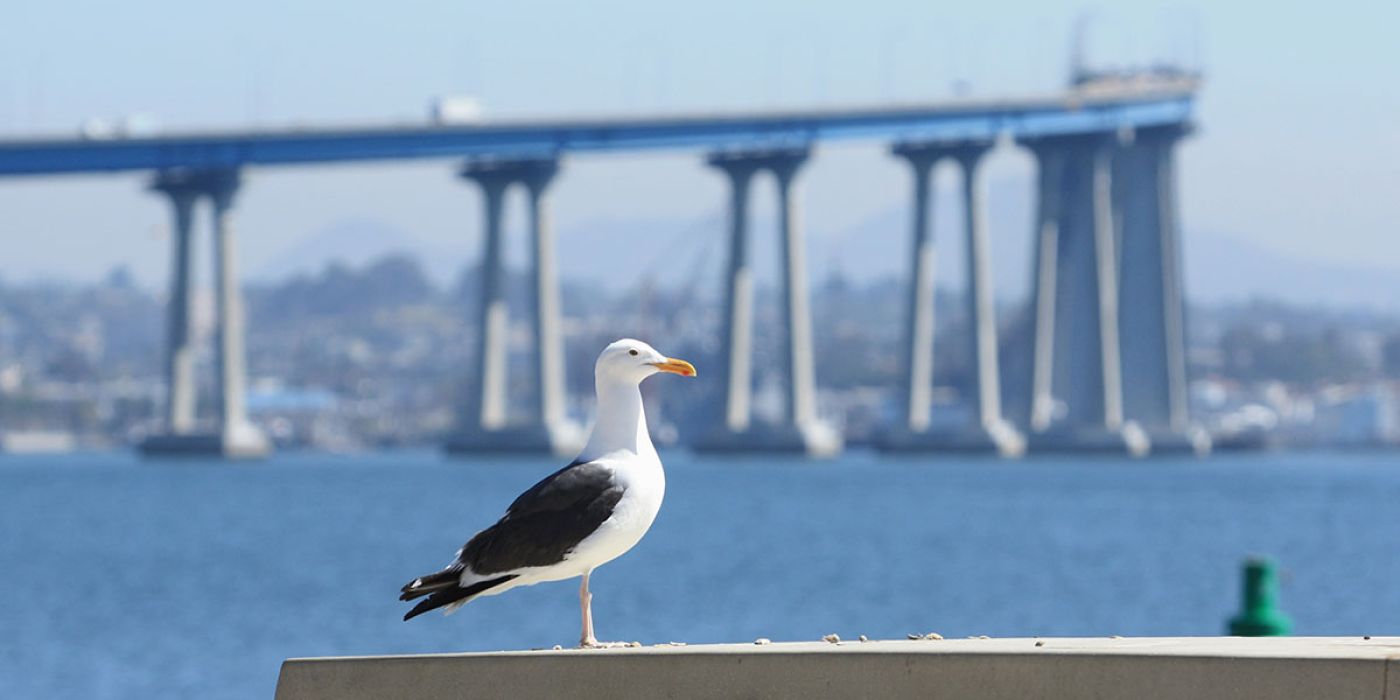 Coronado California