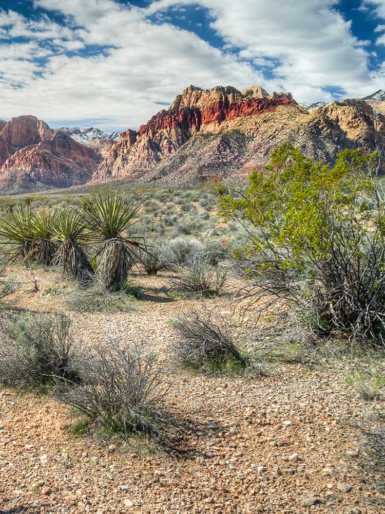 Red Rock Canyon - Access Vegas
