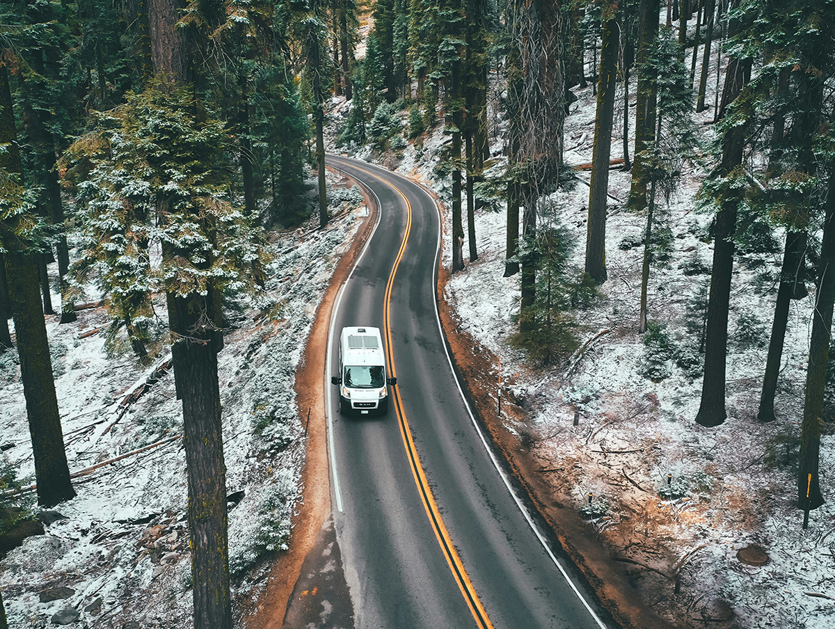 Sequoia National Park | California
