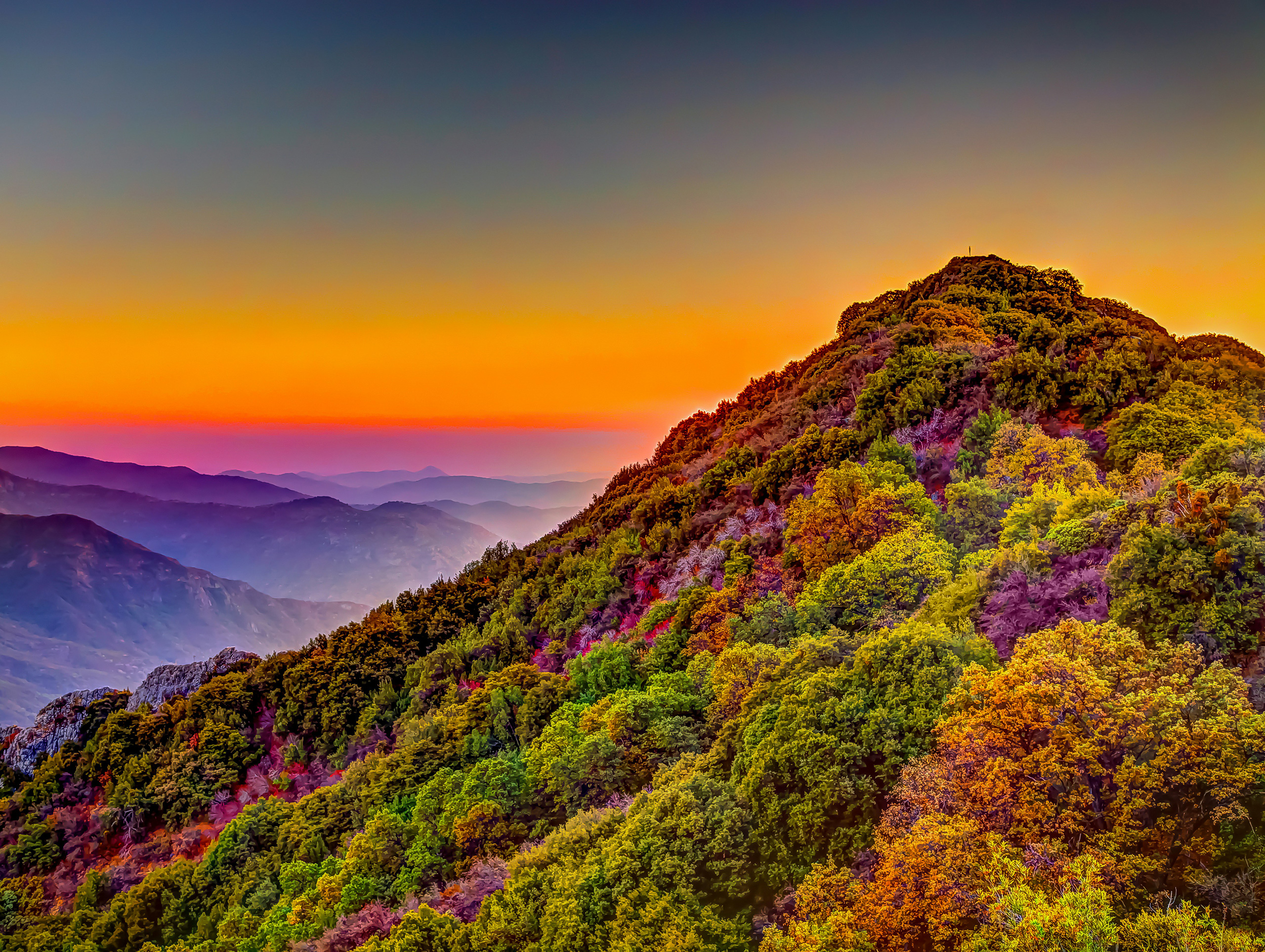 Sequoia National Park | California