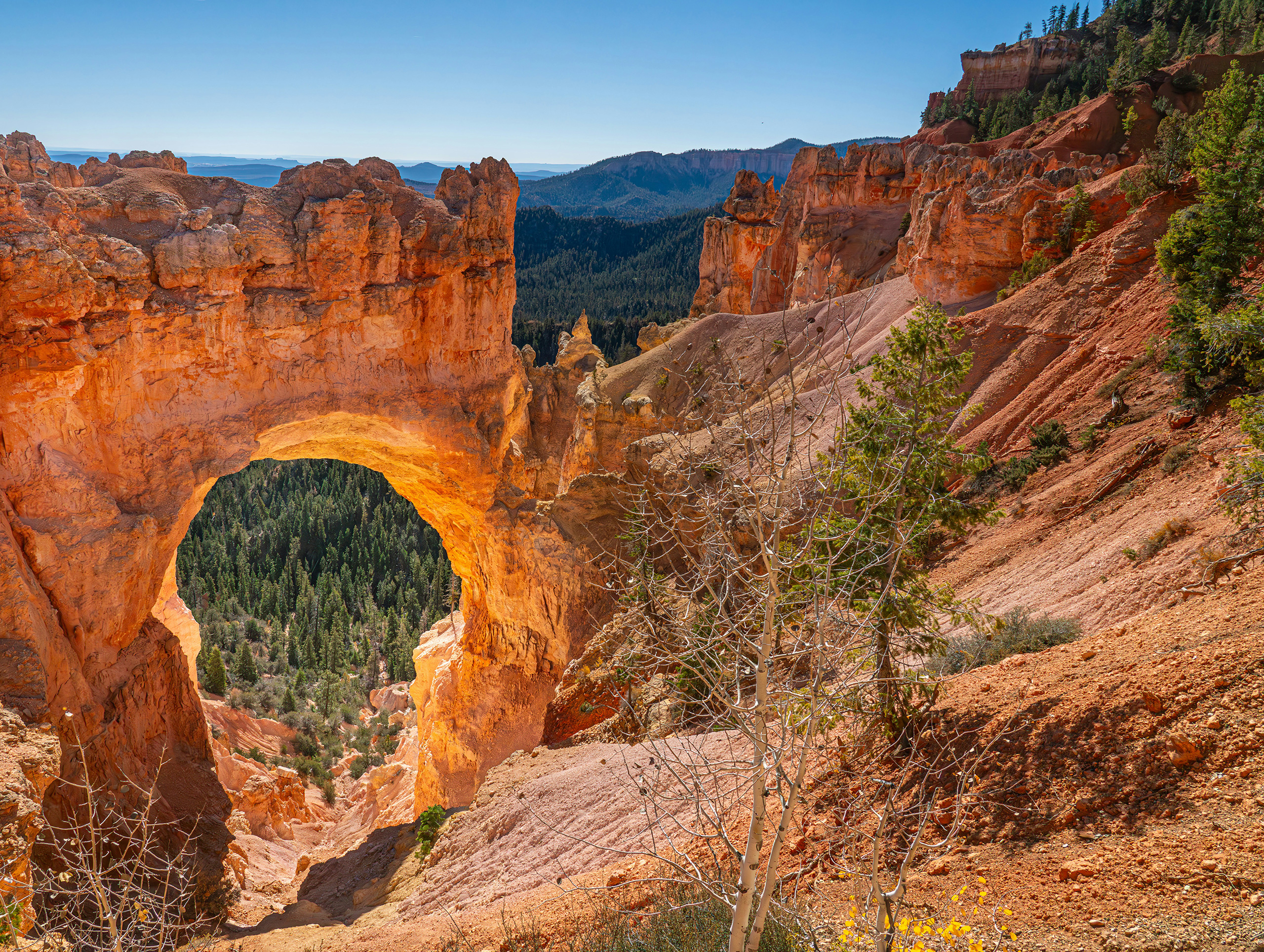 Bryce Canyon National Park | Utah
