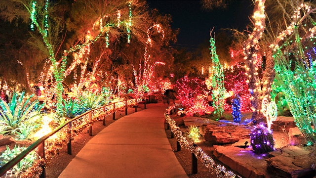 Ethel M Chocolates’ 32nd Annual Holiday Cactus Garden Lights