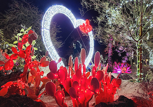 12th Annual Lights of Love at Ethel M Chocolates