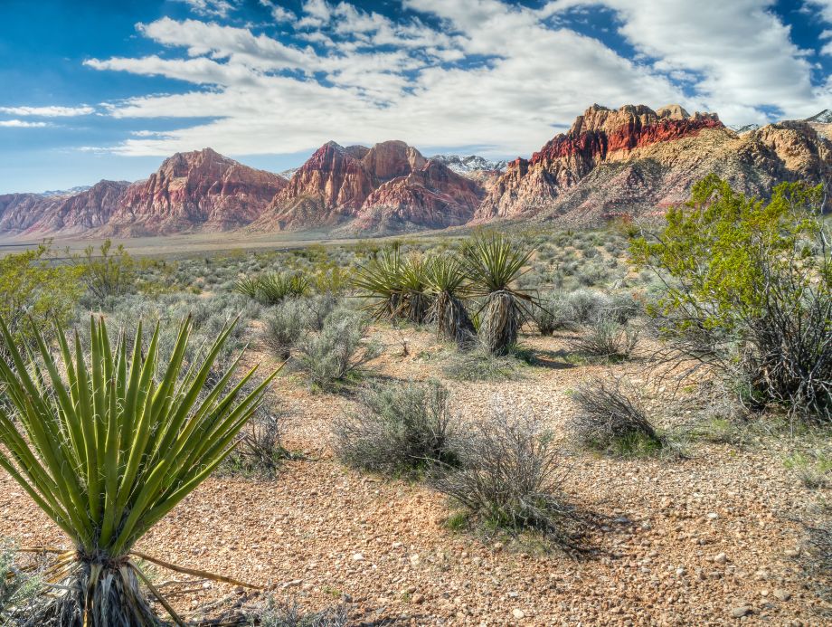 Red Rock Canyon National Conservation Area