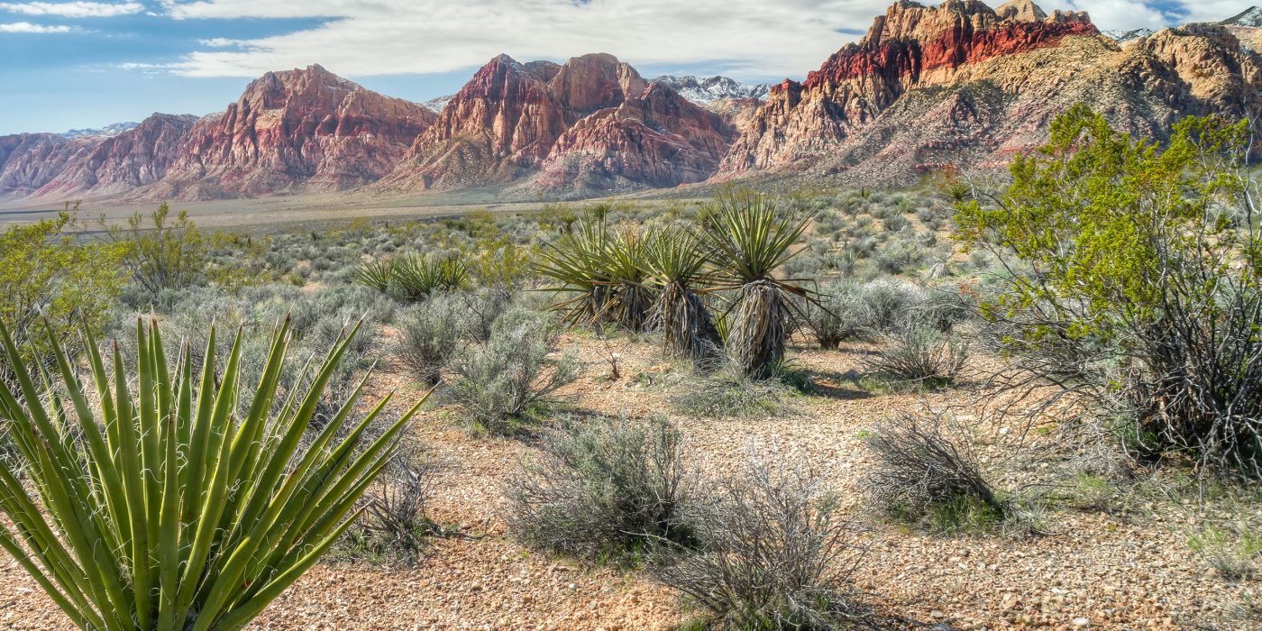 Red Rock Canyon National Conservation Area