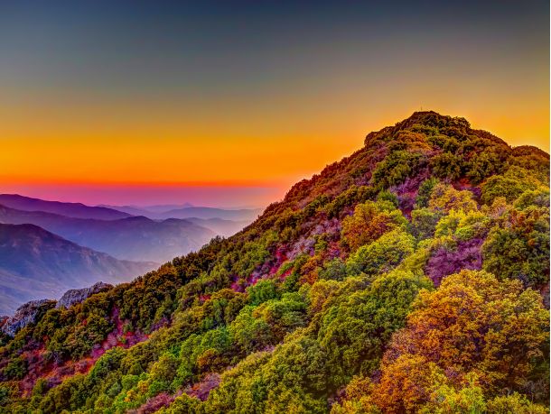 Sequoia National Park | California