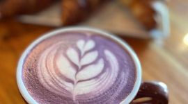 Bad Owl Coffee Roasters