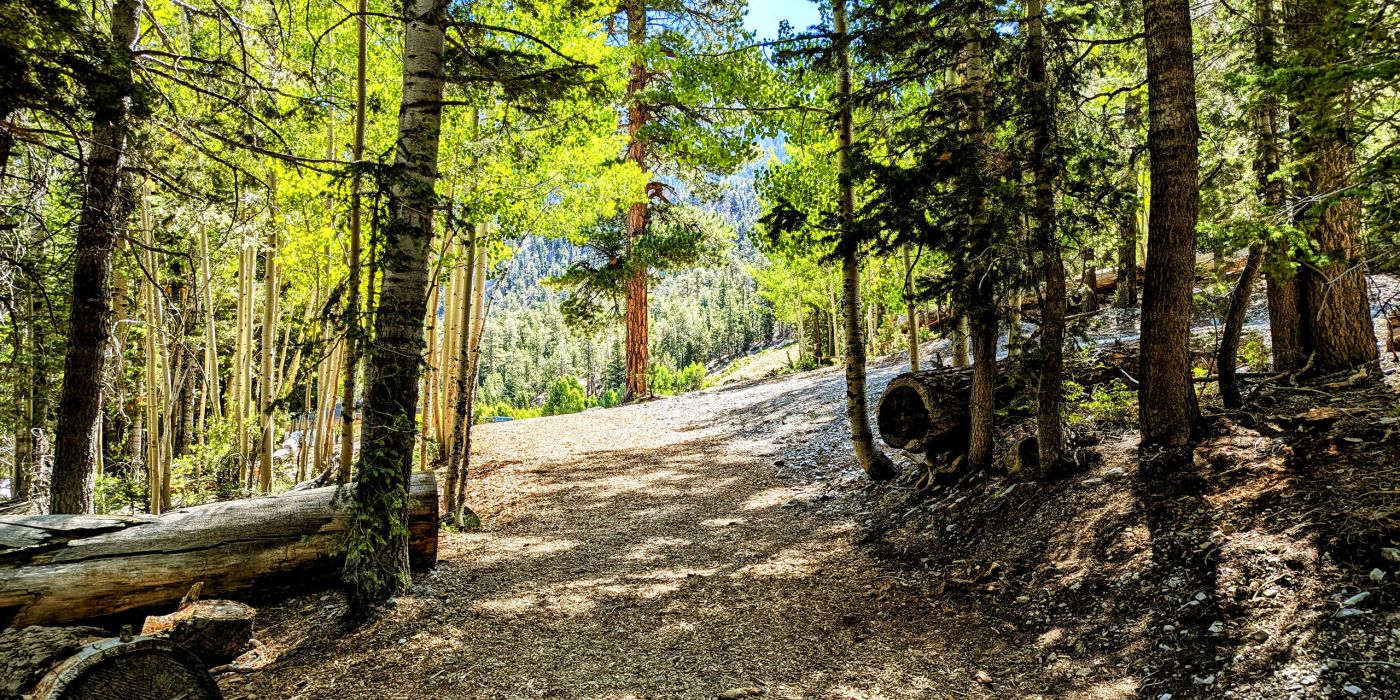 Mount Charleston Hikes