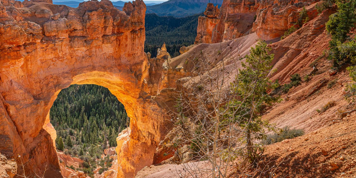 Bryce Canyon National Park | Utah