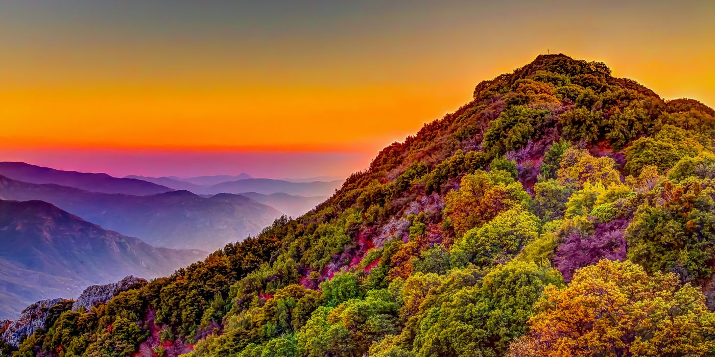 Sequoia National Park | California