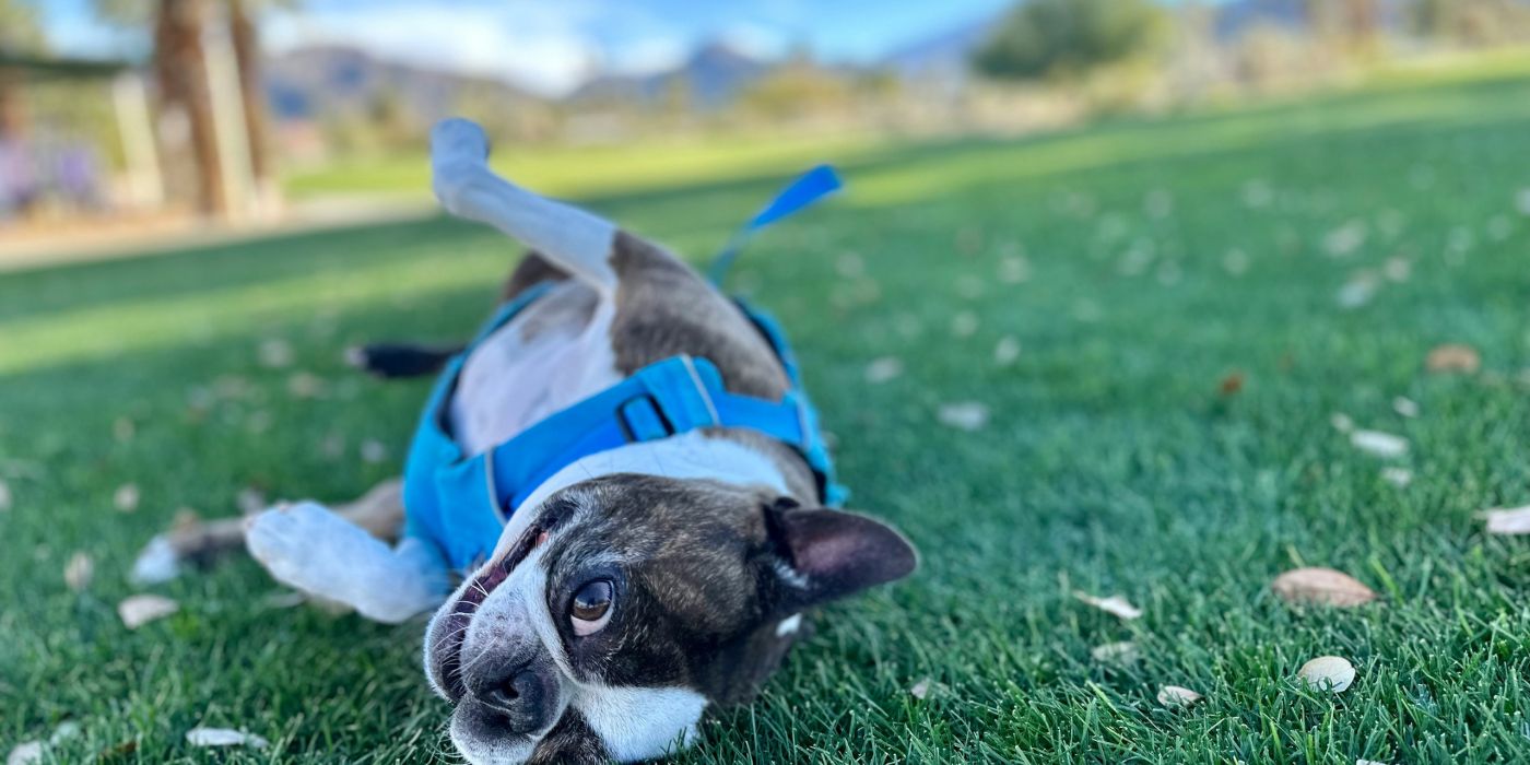 Palm Desert, CA, USA